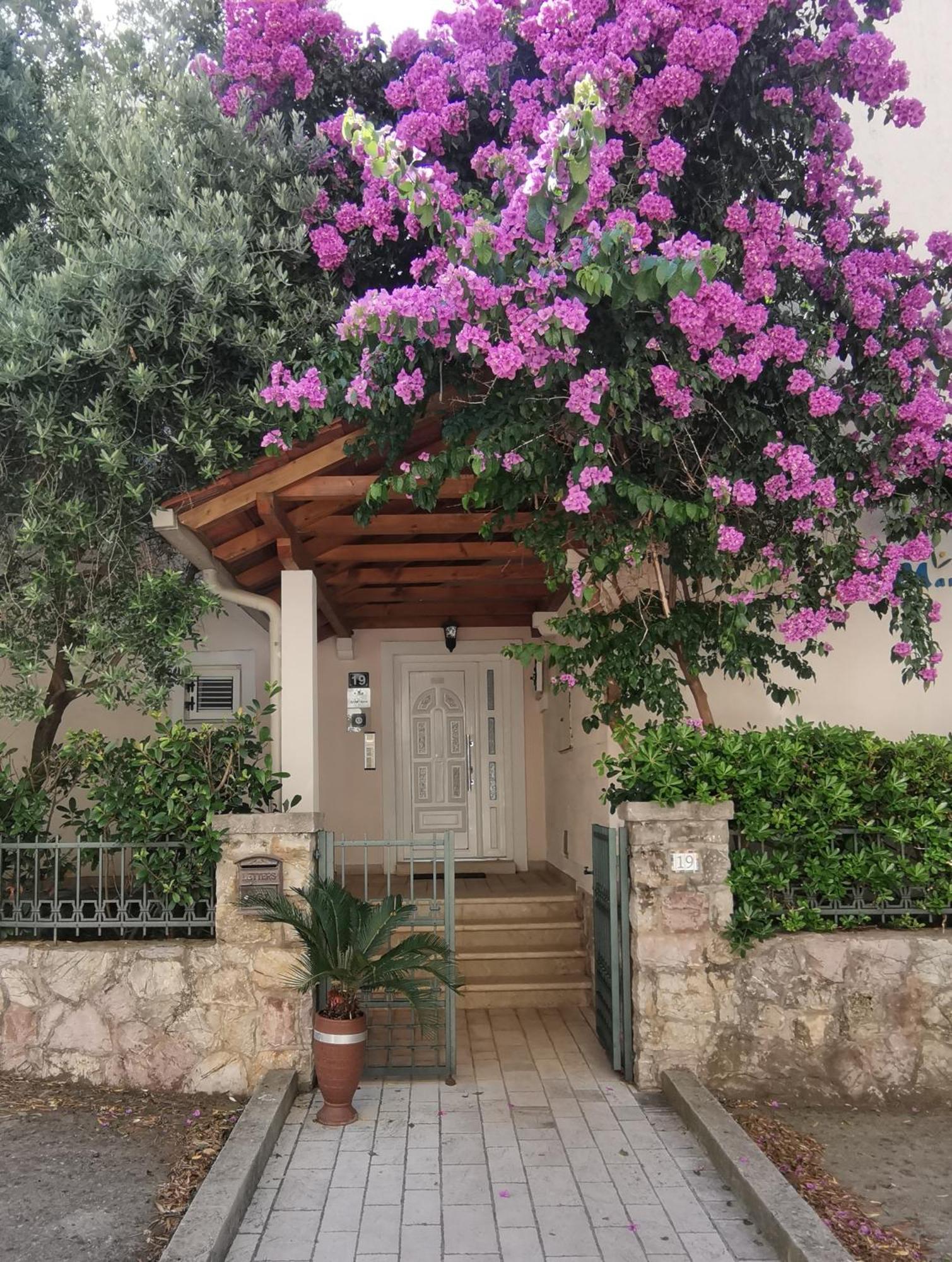 Apartments Maris Petrovac Exterior foto